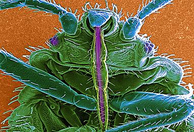 《天命奇御2》正式登陆Xbox 支持多平台智能分发